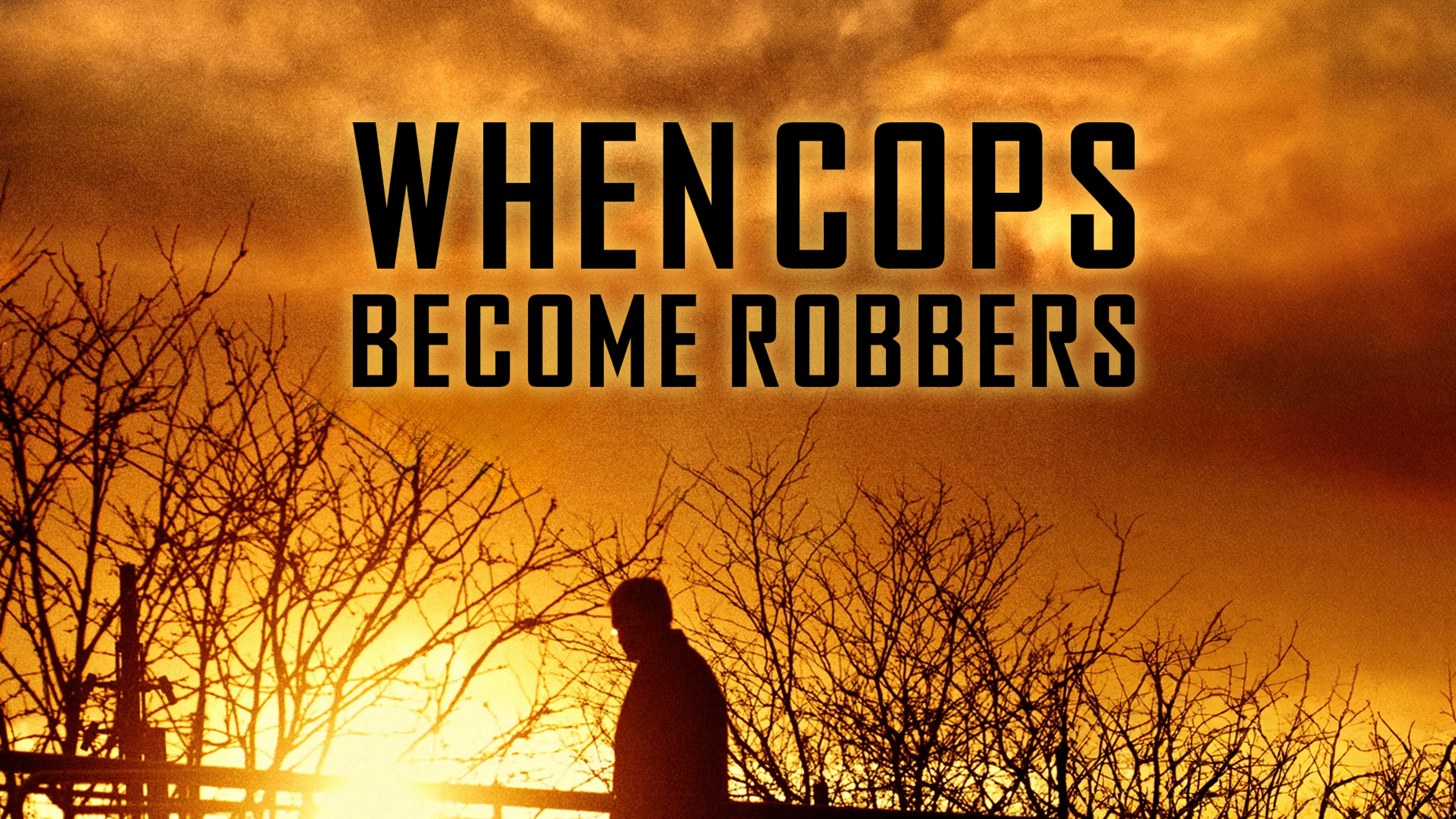 When Cops Become Robbers poster